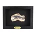 agate tablo